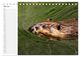Thumbnail-9