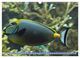 Thumbnail-13
