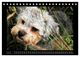 Thumbnail-11