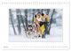 Thumbnail-9