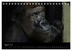 Thumbnail-10