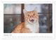 Thumbnail-14