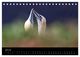 Thumbnail-9