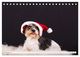 Thumbnail-14