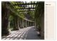 Thumbnail-8