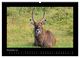 Thumbnail-13