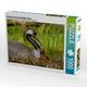 Thumbnail-4