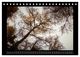 Thumbnail-14