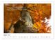 Thumbnail-12