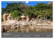 Thumbnail-14