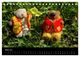 Thumbnail-8