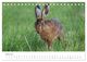 Thumbnail-9