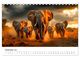 Thumbnail-14