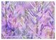 Thumbnail-11