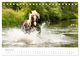 Thumbnail-13