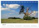 Thumbnail-9