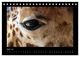Thumbnail-9