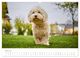 Thumbnail-9