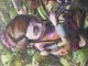 Thumbnail-3