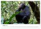 Thumbnail-12