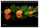 Thumbnail-10