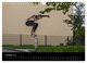 Thumbnail-12