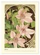 Thumbnail-12