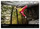 Thumbnail-14