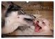 Thumbnail-9