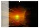 Thumbnail-9