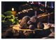 Thumbnail-11