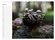 Thumbnail-12