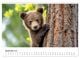 Thumbnail-14