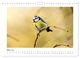 Thumbnail-8