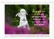 Thumbnail-11