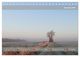 Thumbnail-14