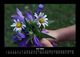 Thumbnail-10