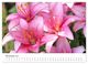 Thumbnail-12