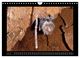Thumbnail-8