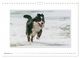 Thumbnail-14