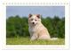Thumbnail-14