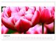 Thumbnail-13