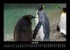 Thumbnail-11