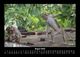 Thumbnail-12