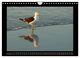 Thumbnail-13