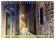 Thumbnail-14