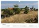 Thumbnail-11