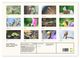 Thumbnail-9