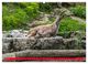 Thumbnail-8