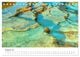 Thumbnail-13